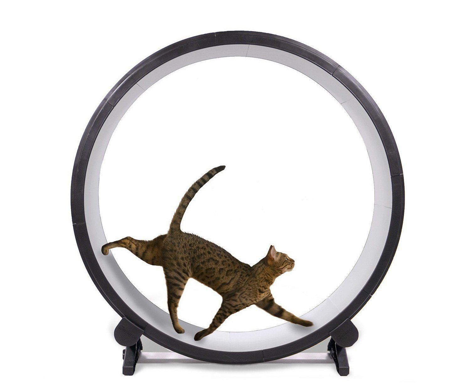 One Fast Cat Wheel