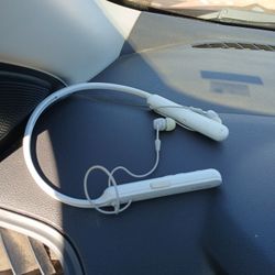 Sony Bluetooth Headphones