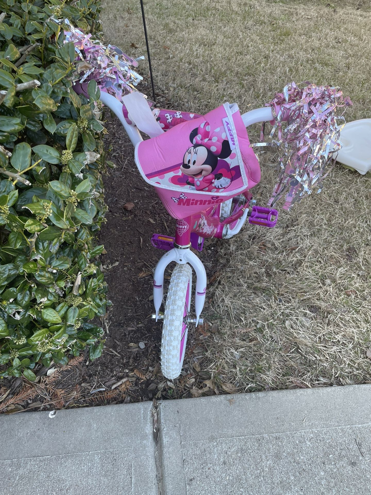 Girls Toddler Mini Mouse Bike