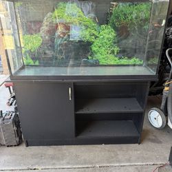 60 Gallon Fish Tank