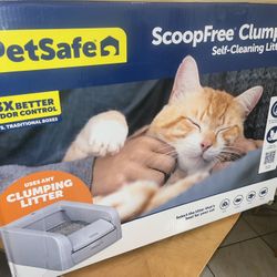 Cat Litter Box