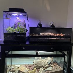 Bioactive Reptile Tanks And Desk Stand 
