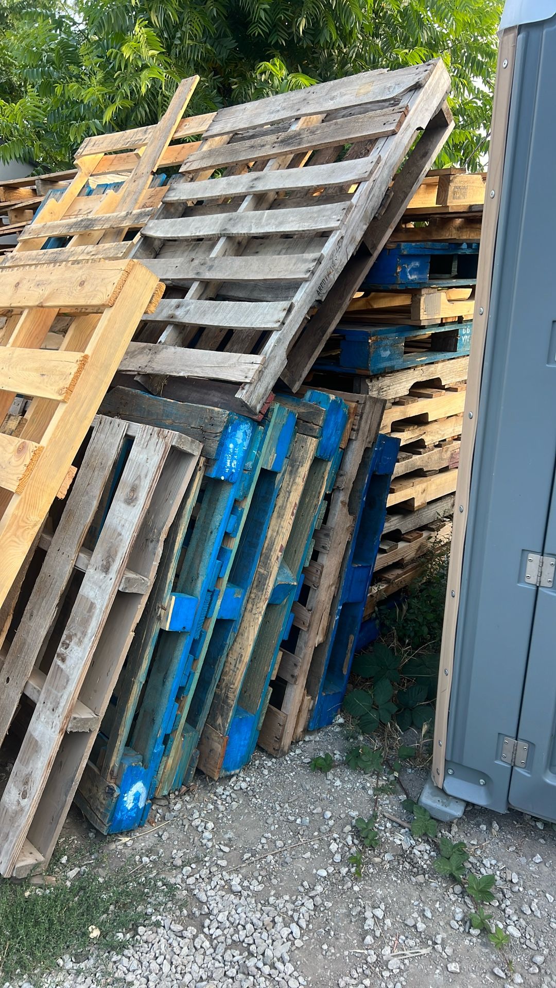 Free pallets 