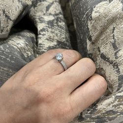 Titanium Gold Plated 