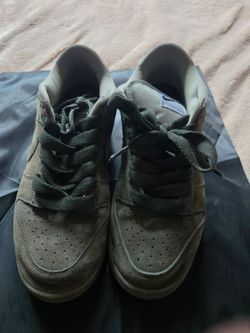 Nike sb dunk low pro b