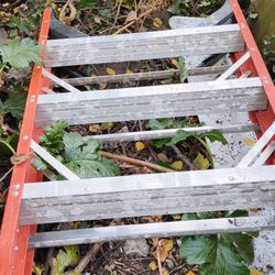 10 Ft Werner Ladder 