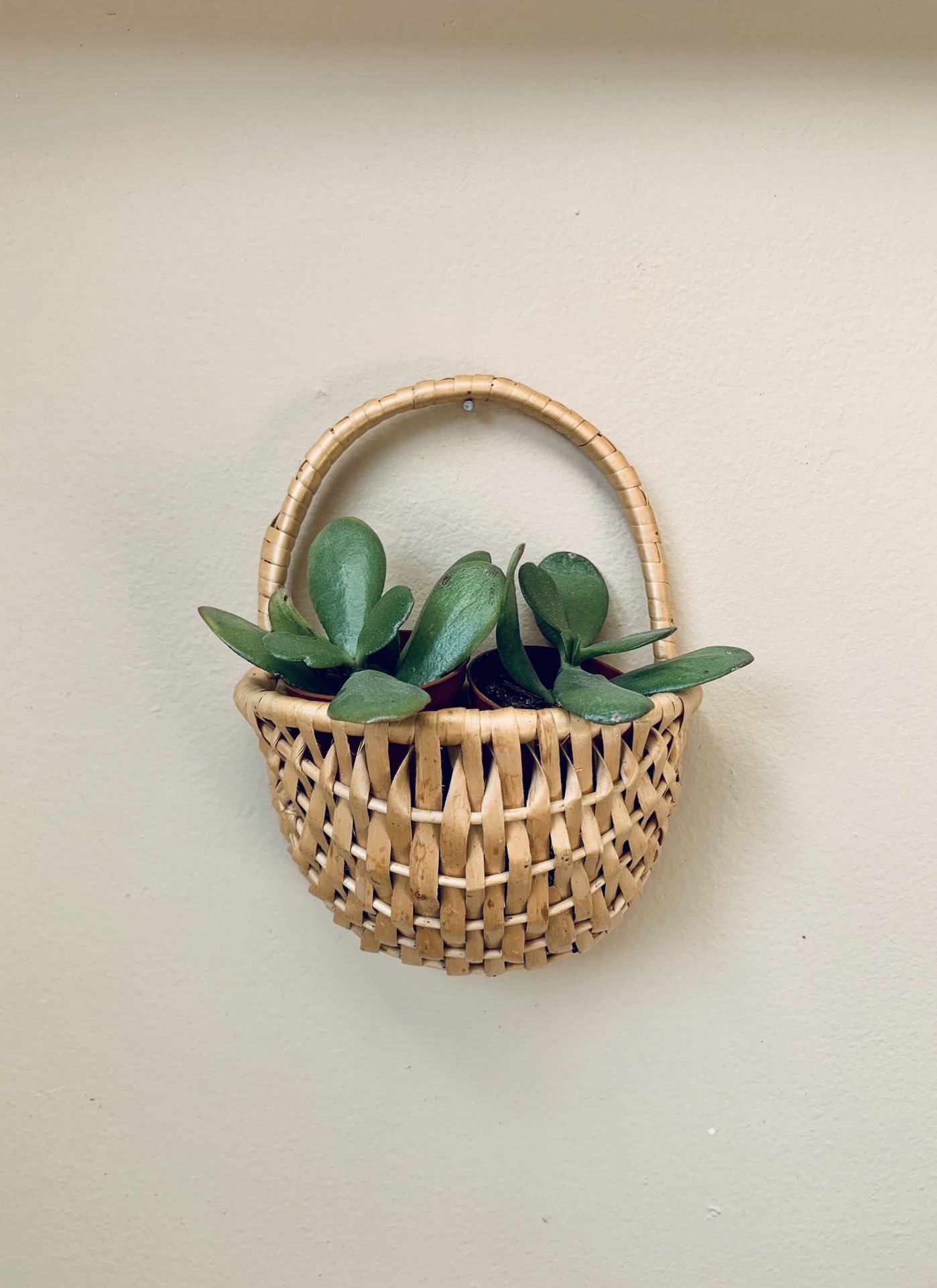 Wicker Weaved Planter Pot Plant Holder Hanging Wall Basket Bohemian Chic Boho Decor Basket