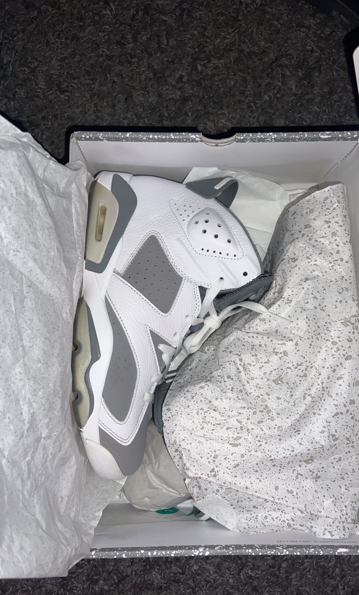 Jordan 6s