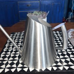 Stainless Steel Slim Water Container