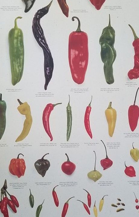The great Chili posters