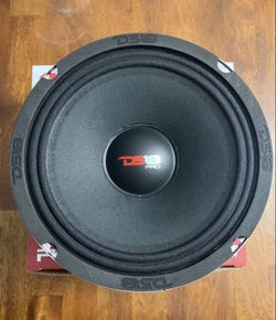DS18 8” speakers