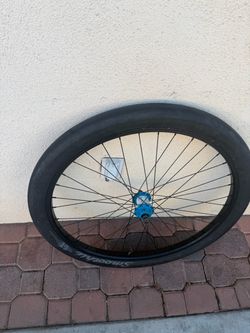 smoothie 29er with rim