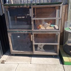 Custom Houses For Either Pets 