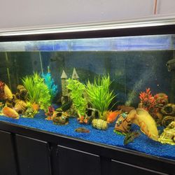 150 GAL FISH TANK
