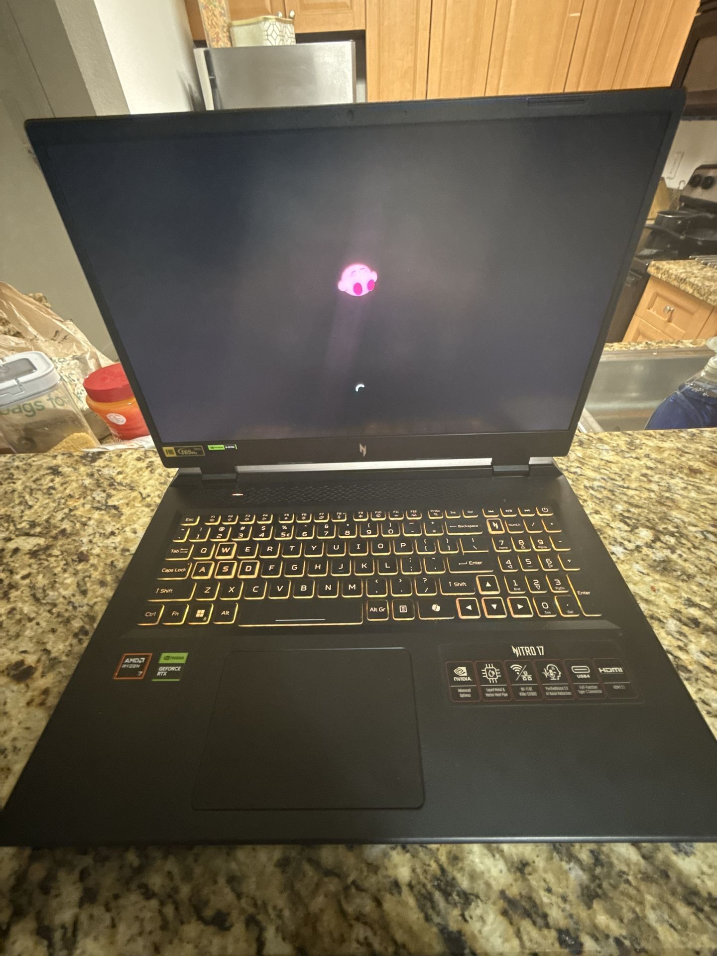 Acer Nitro 17 (gaming Laptop)