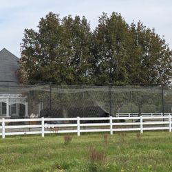 Batting (Netted) Cage