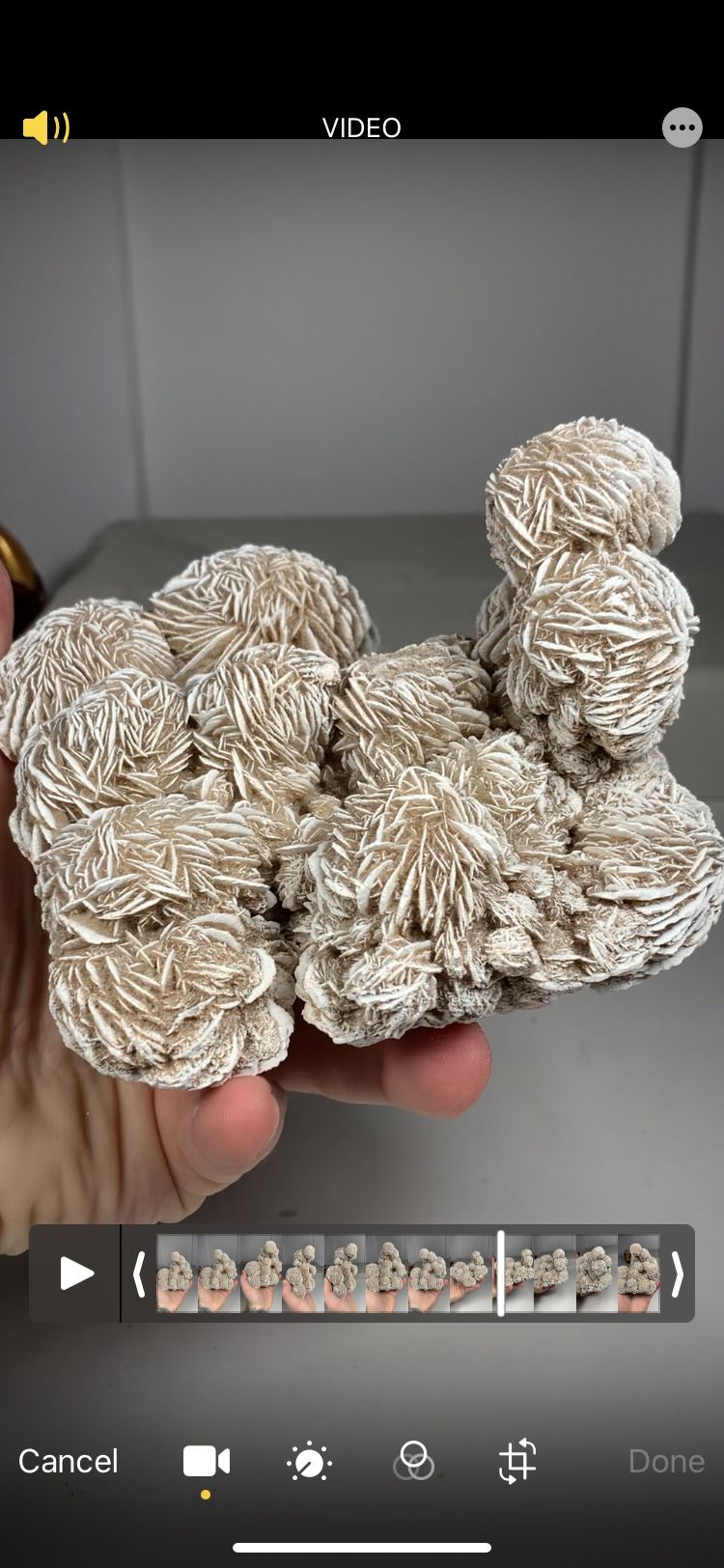 Impressive & Pristine Desert Rose Statement Piece