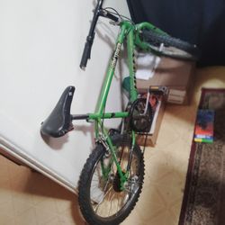 Mountain Bike