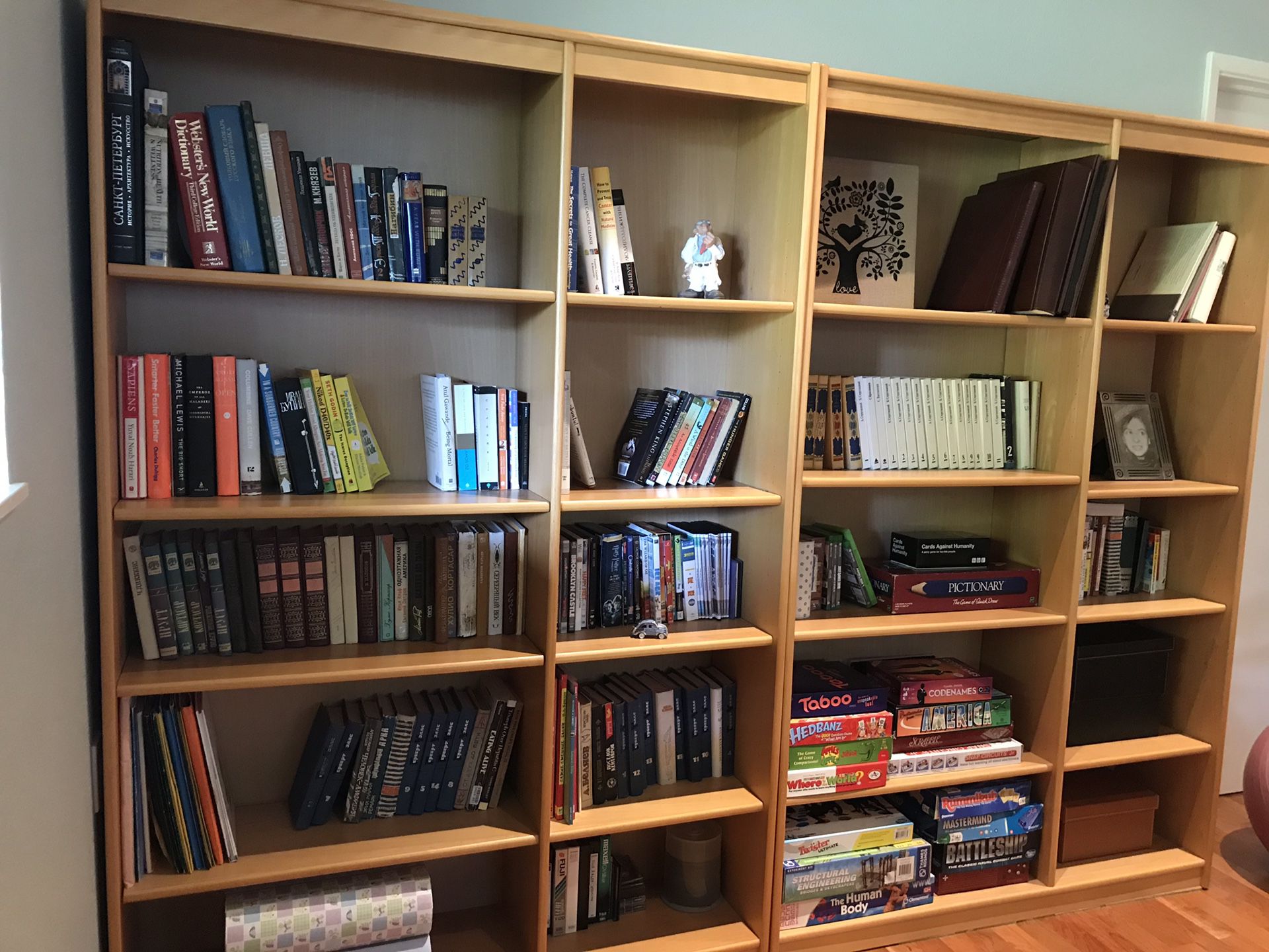 Dania Bookcase/shelves