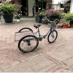 Adult Tricycle 