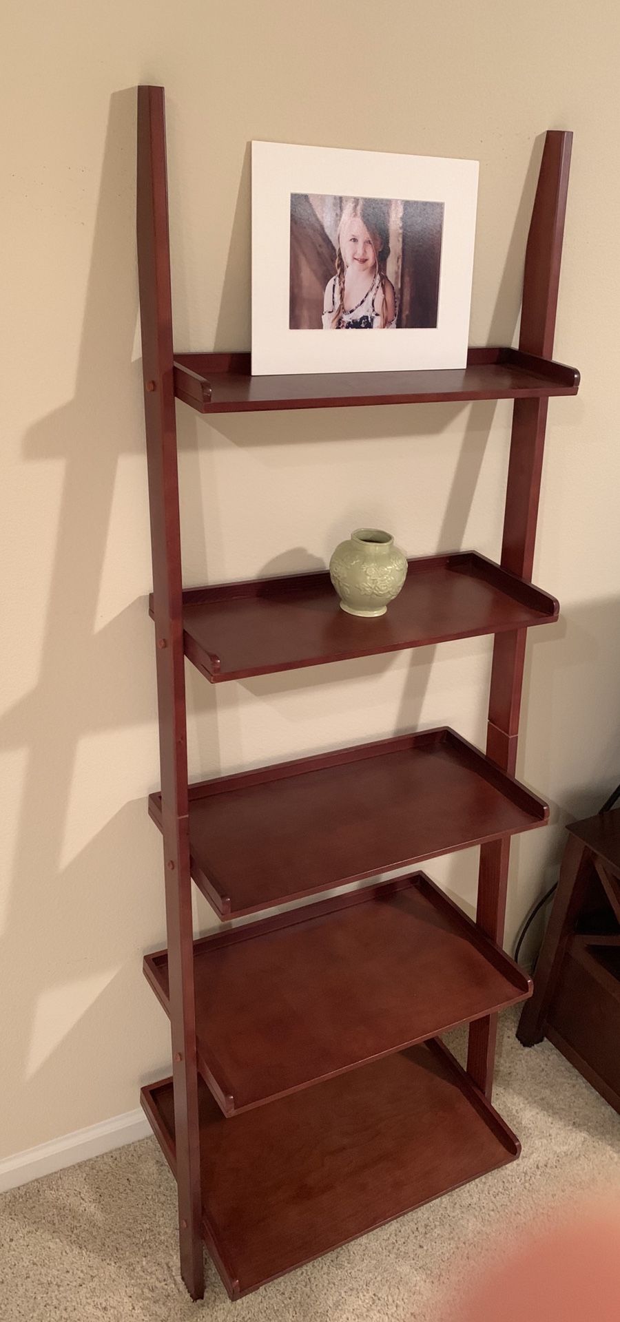 Leaning Ladder Book Shelf