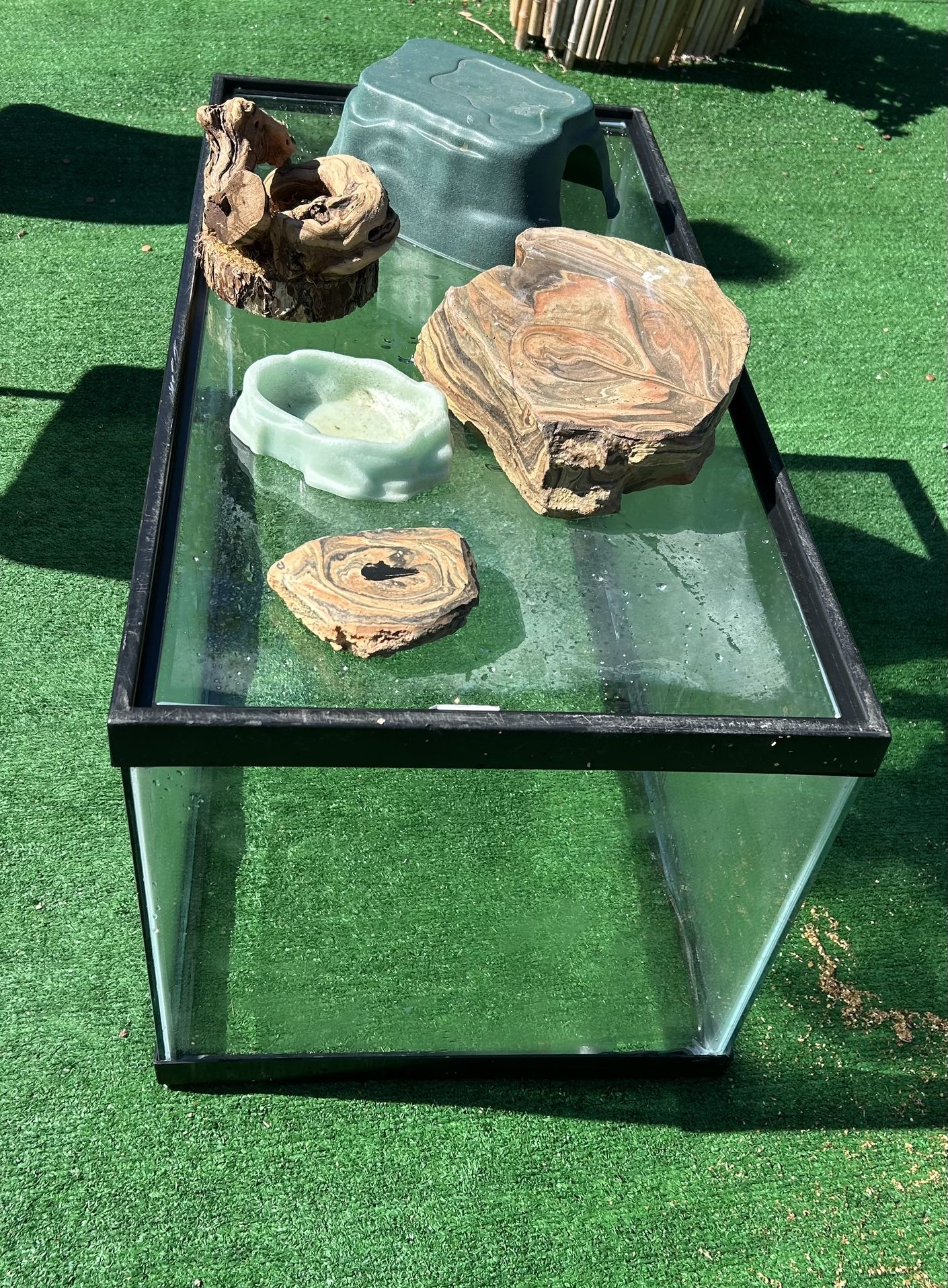Terrarium For Sale