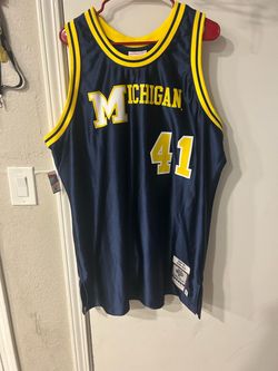New Michigan Glen Rice