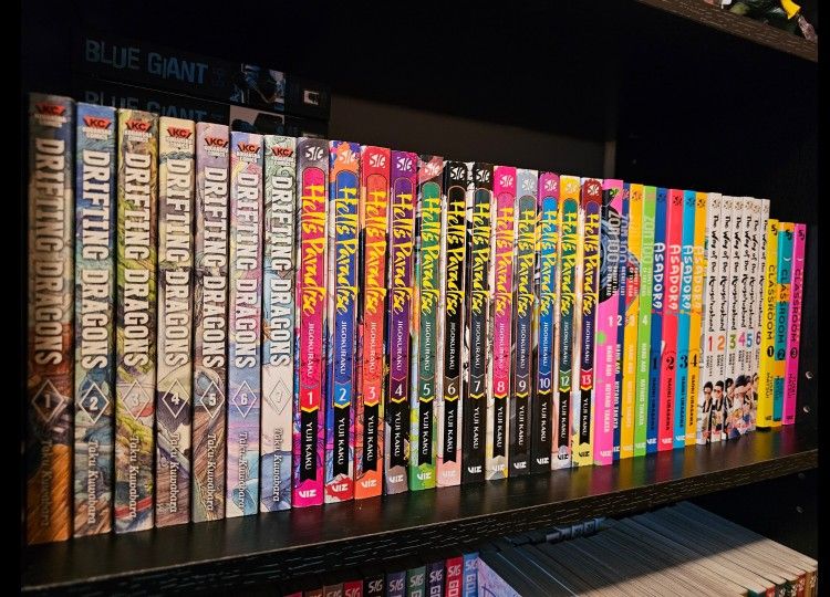 Huge Manga Lot