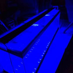 125 Gallon Aquarium Tank