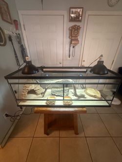 Reptile/Terrarium/Aquarium 60 gallons front opening tank with full set up ( no animals included ) ( have more tanks available) *** Great Condition ***