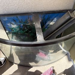 45 Gallons Bow Front Fish Tank