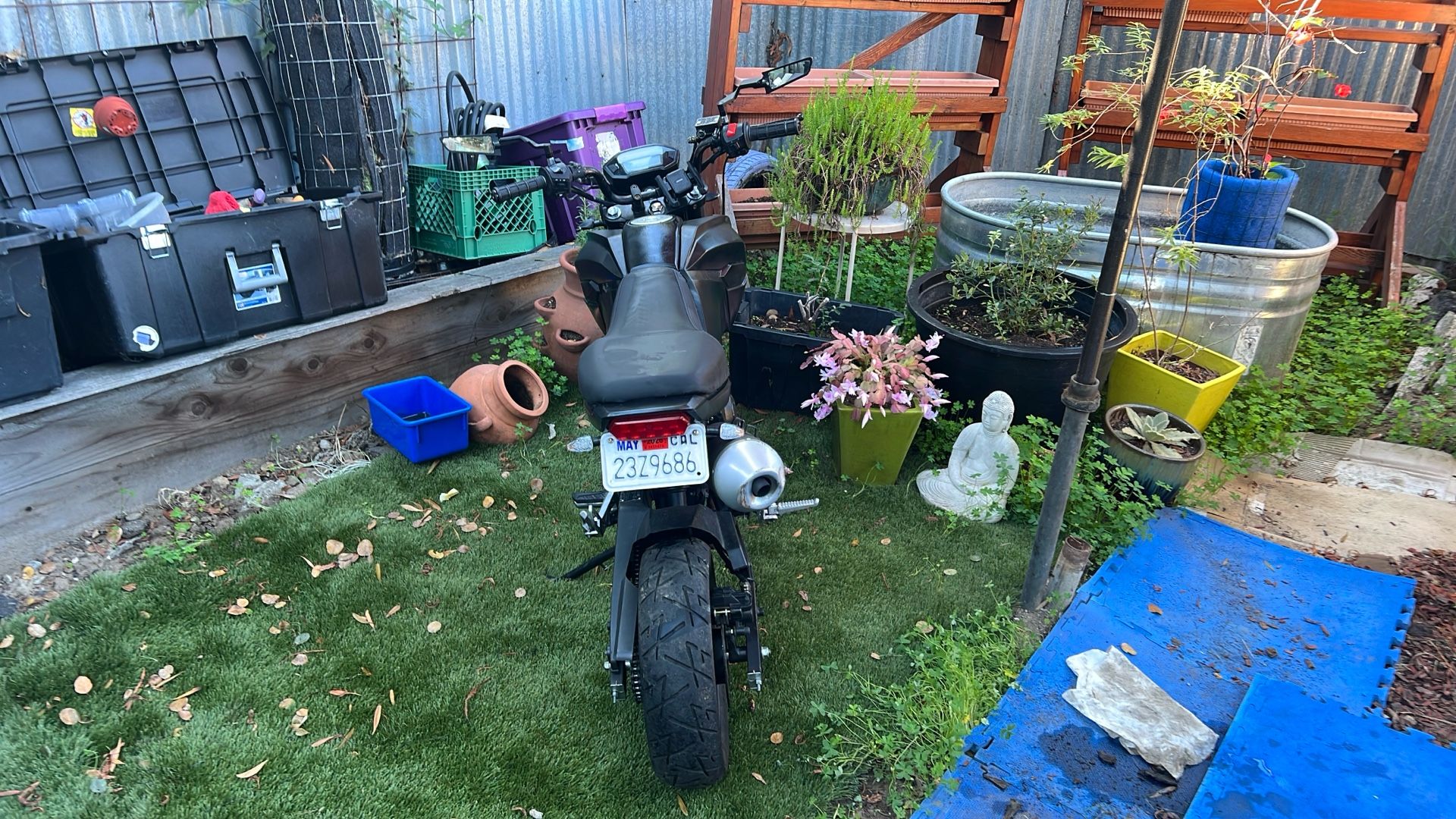 2025 Toa Toa grom clone Hel