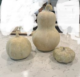 Pottery Barn Handcrafted Terracotta Gourd,  Small and Medium Pumpkin