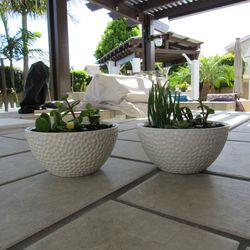 Pair Of White Golf Ball Print Garden Pots With Succulents