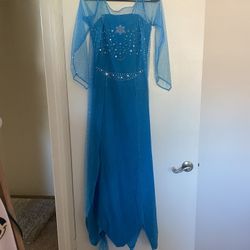 Frozen Costume