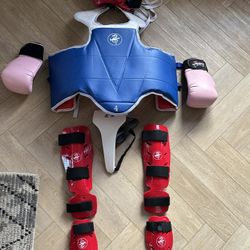 Taekwondo Sparring Gear 