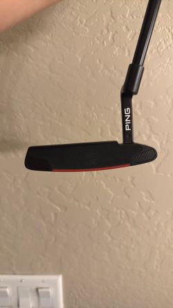 Ping Anser 2 2021