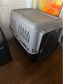 Dog big cage new