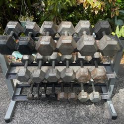SET OF DUMBBELLS : 5s thru 55s & 3 TIER RACK : (PAIRS OF) : 5s 10s 15s 20s 25s 30s 35s 40s 45s 55s 