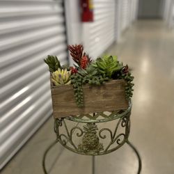 Plant( Stand not included)