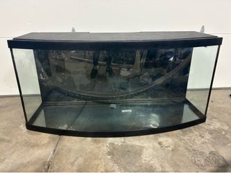 Bow front fish tank tempered glass. 62-65 gallon.