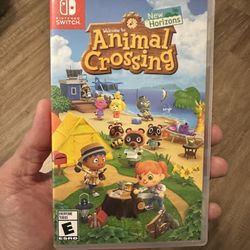 Animal Crossing Game