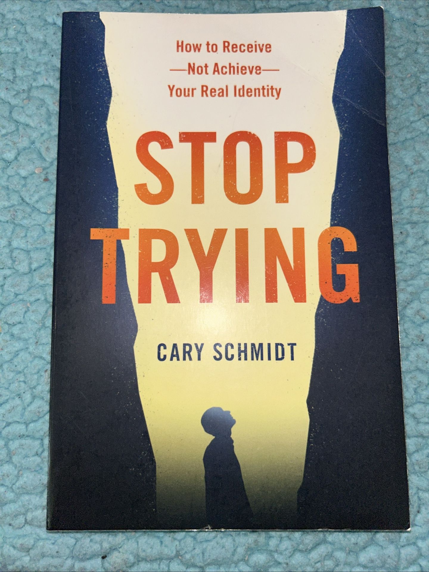 Stop Trying by Cary Schmidt