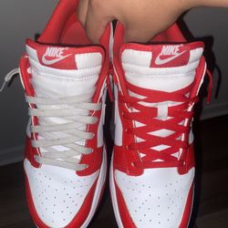 Men’s size 10.5 nike dunk