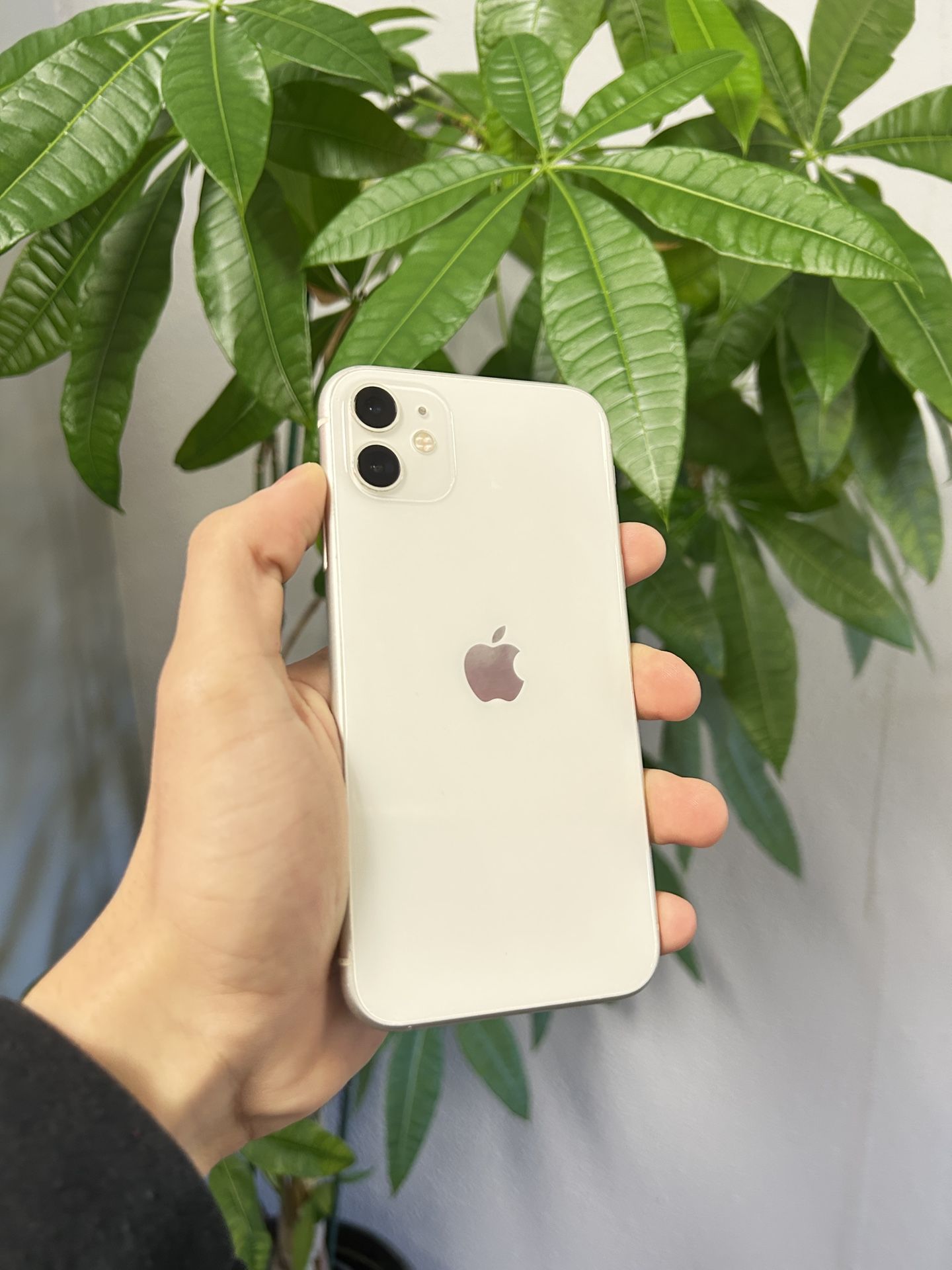 iPhone 11 - Unlocked - 128GB