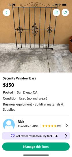 Security window bars