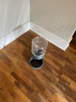 Dogs Food Or Water Dispenser 