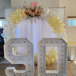 Balloon Garland