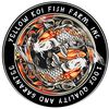 Yellow Koi Fish Farm 