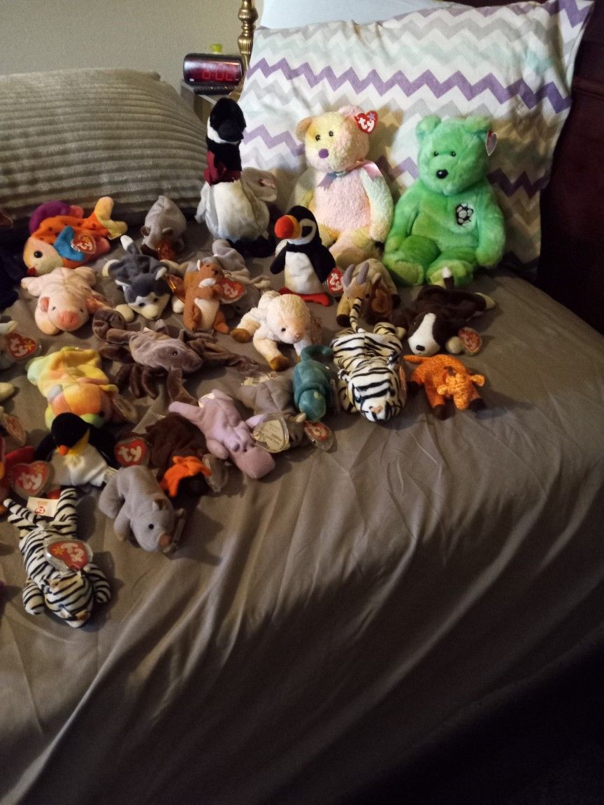 Beanie Baby's